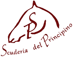 Scuderia del Principino Logo